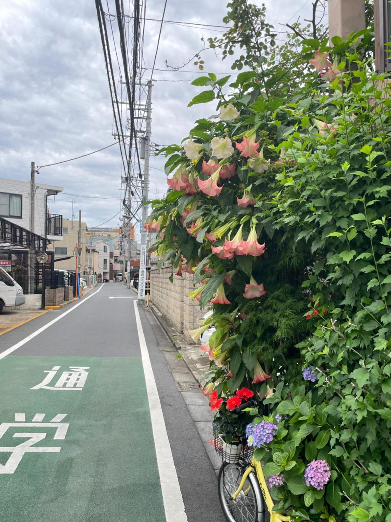 新宿庭院の屋-Shinjuku Garden Home -28 Square Meters King Size Bed Garden Room Tokyo Ngoại thất bức ảnh